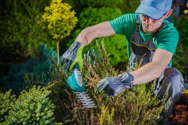 landscaping services Mer Rouge